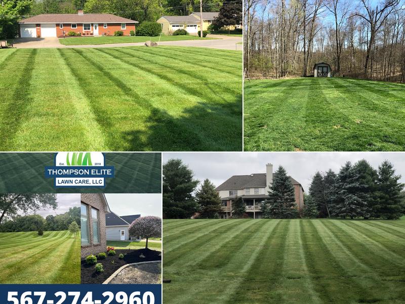 Thompson Elite Lawn Care, LLC