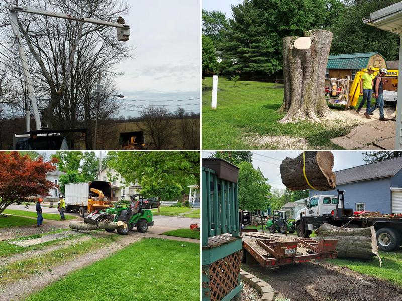 Hinman Tree Service, L.L.C.