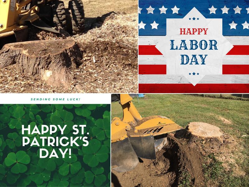 Lucas Tree Service LLC