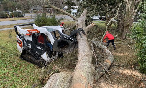 Supreme Tree Service | Wilmington, Carolina Beach, Wrightsville Beach, Hampstead, Leland 1401 N Lake Park Blvd #28, Carolina Beach North Carolina 28428