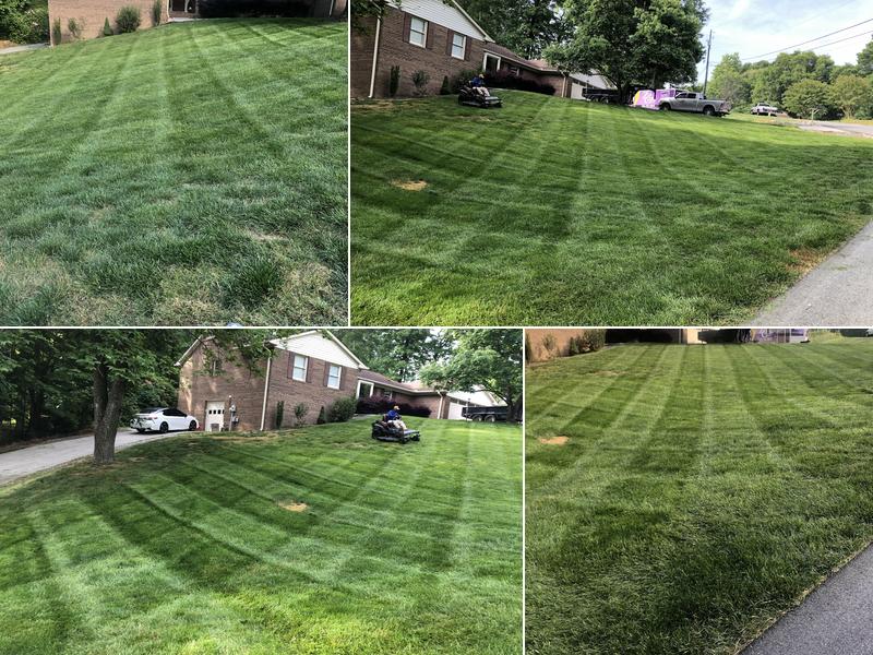 T.Rivera landscaping