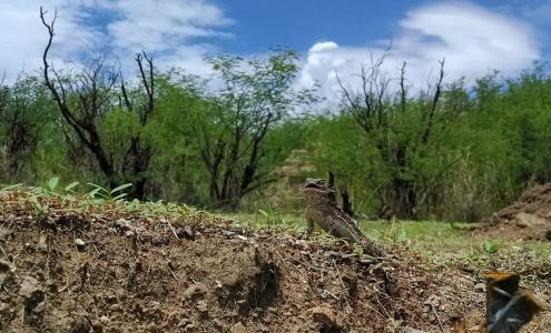 Burns Realty Inc 1068 Camino Caralampi Ste 1, Rio Rico Arizona 85648