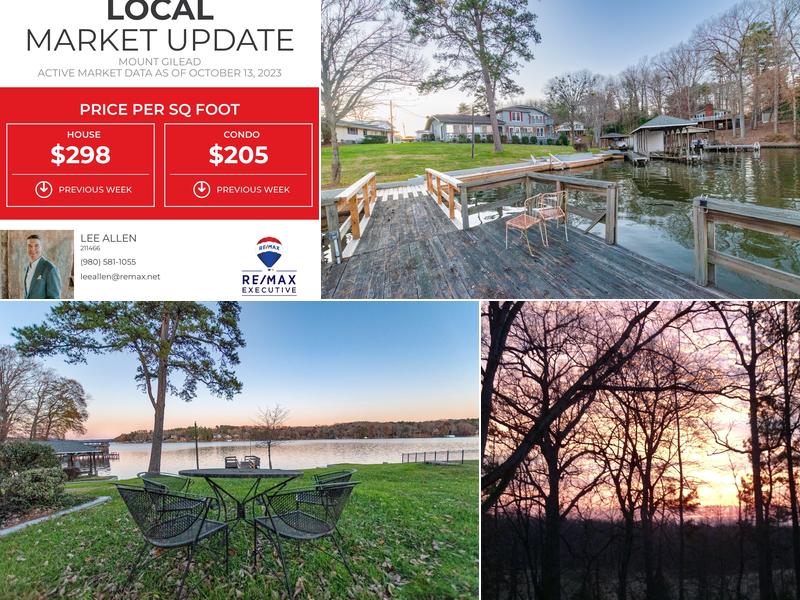 Lee Allen, RE/MAX Executive Albemarle