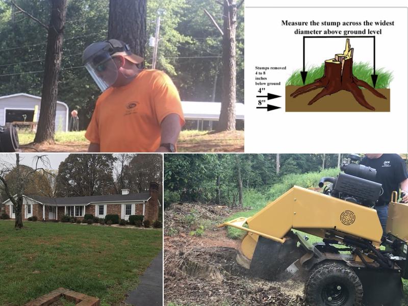 Reece’s Stump Grinding, LLC