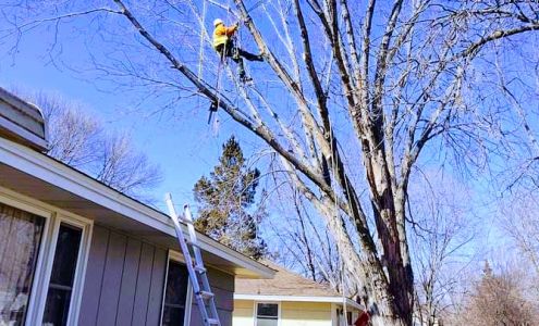 Quality Emergency Tree and Land Service 211 E George St, Ogilvie Minnesota 56358