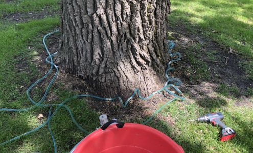 Hi-View Tree Care 255 Hwy 55, Glenwood Minnesota 56334