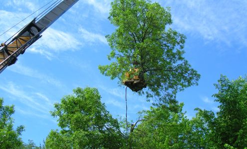 Masog Concrete LLC 11923 MN-115, Little Falls Minnesota 56345