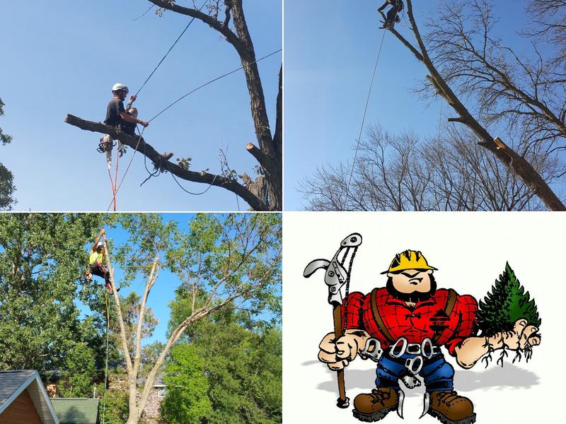 Tip Top Tree Care