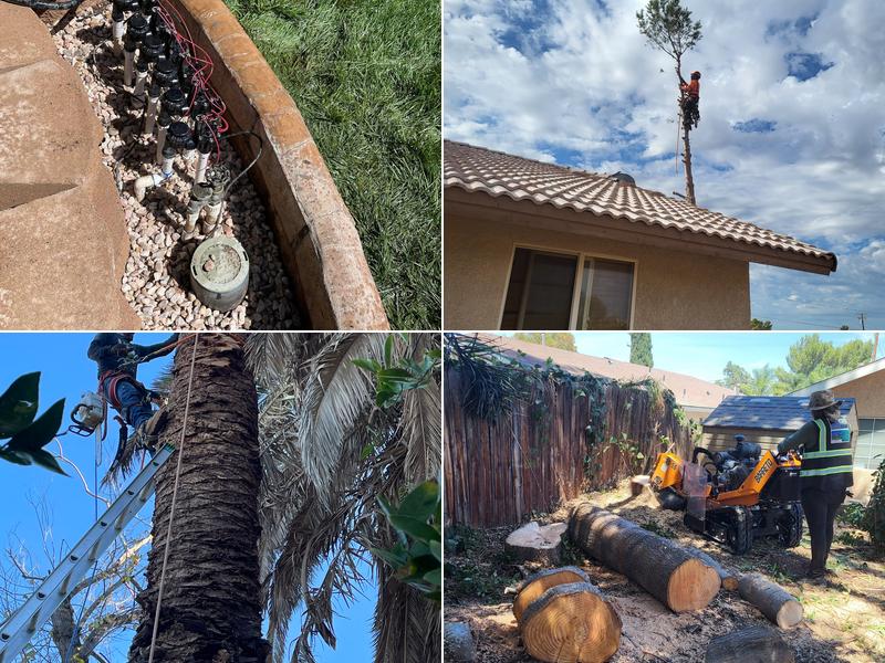 Ramos Tree Services & Landscaping