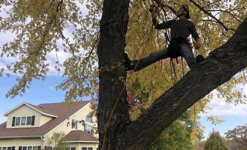 Norgren Tree Services Inc 14799 90th St NW, South Haven Minnesota 55382