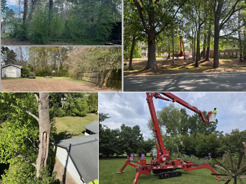 Buckhout Inc. Tree Service and Landscaping