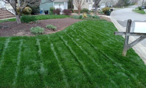 Komorebi Outdoor Services