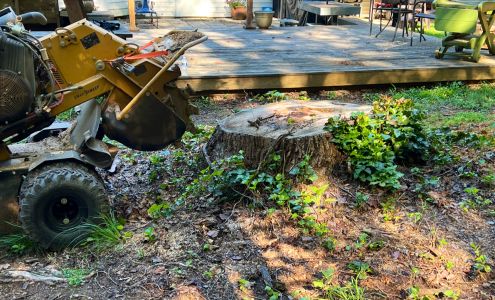 Elite Stump Grinding LLC