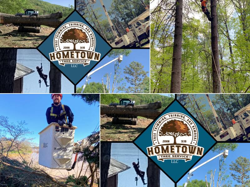 Hometown Tree Service LLC
