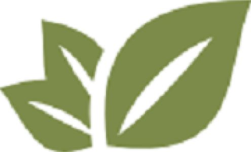 Hollar Brothers Tree Services 1146 Houck Mountain Rd, Taylorsville North Carolina 28681