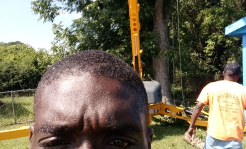 Blount tree service Dudley