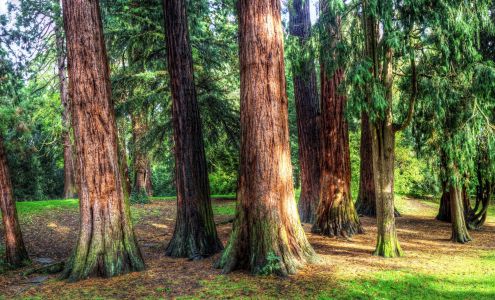 Towpath Manor Apartments