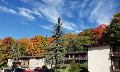 Swiss Chalet Apartments
