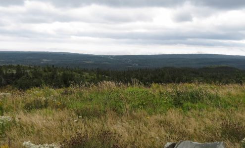 John Mitchell Real Estate