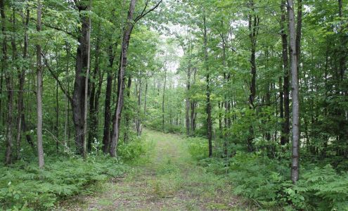 NY Outdoor Realty, LLC