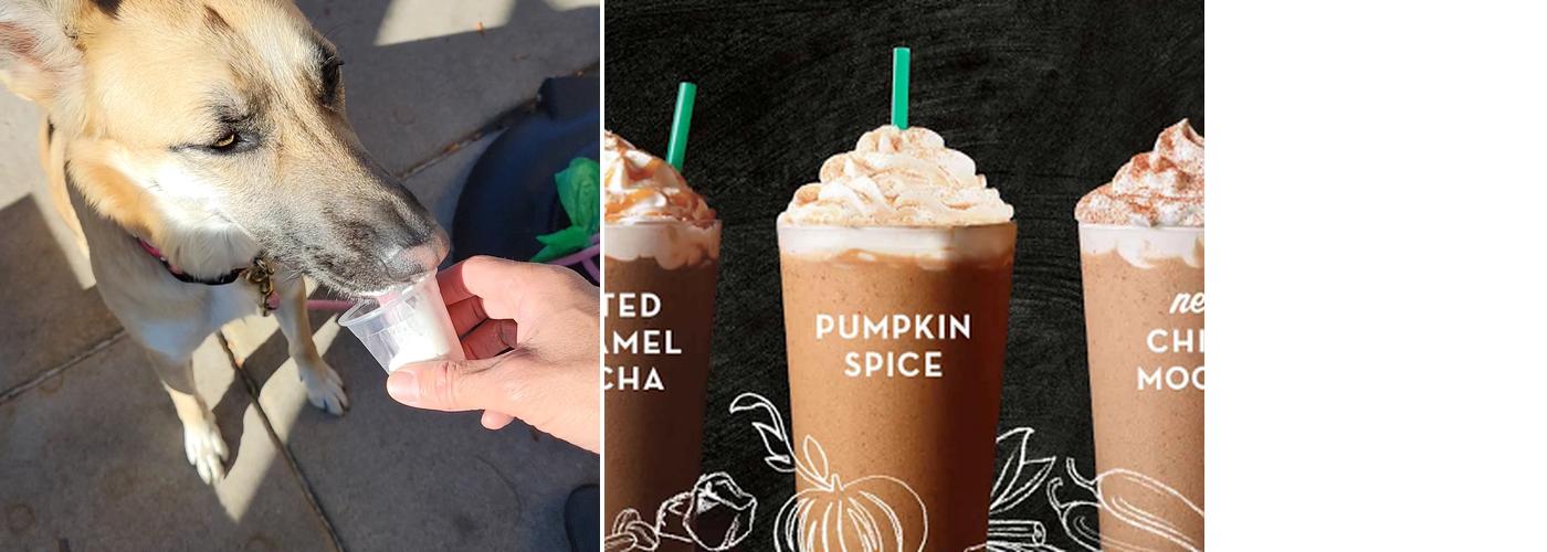 Starbucks Menu