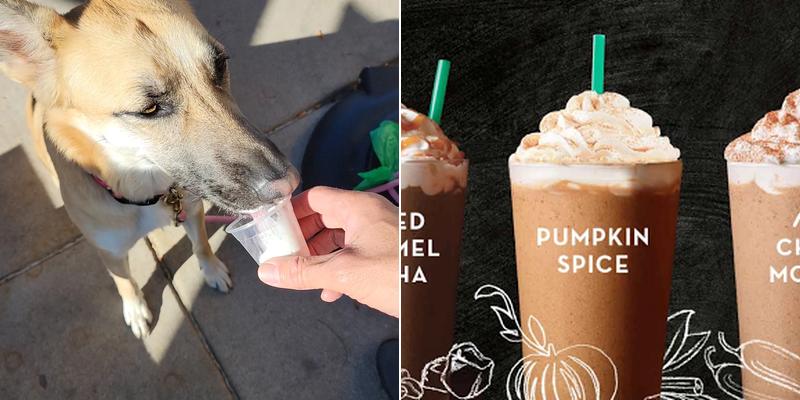 Starbucks Coffee Company Menu