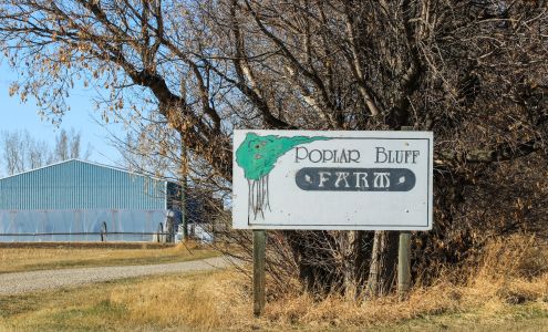 Poplar Bluff Organics Carseland
