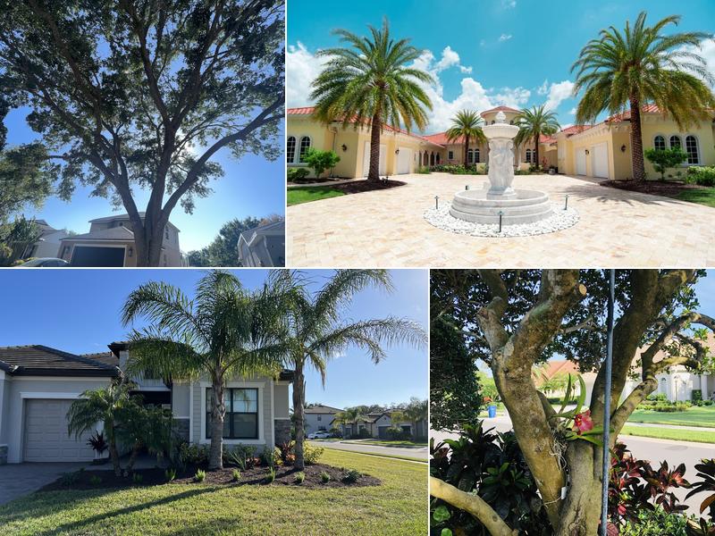 Scientific Tree Service