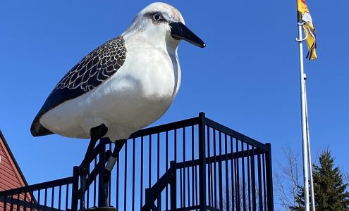 Peep & Keep Ecotique Dorchester