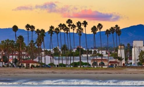 Cito Insurance Services