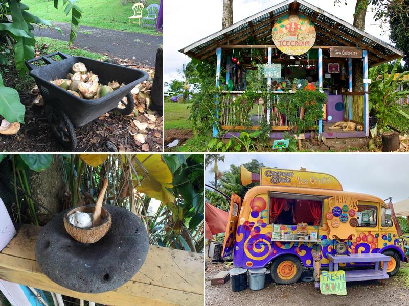 Coconut Glen's Ice Cream