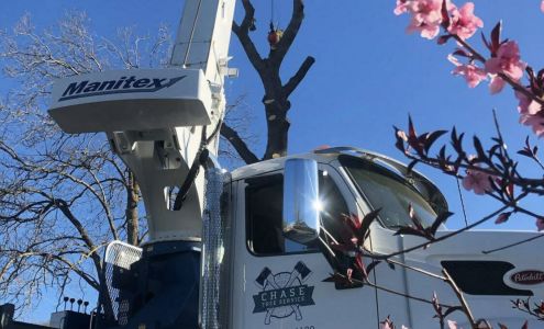 Chase Tree Service 333 S Auburn St, Colfax California 95713