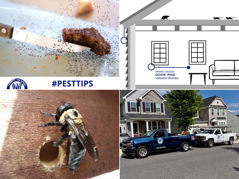 Walker's Termite & Pest Control Co. INC.