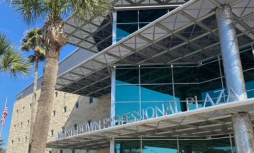 Professional Tax Service