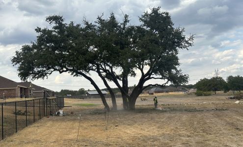 Woodson Roofing & Tree Service LLC. Crawford