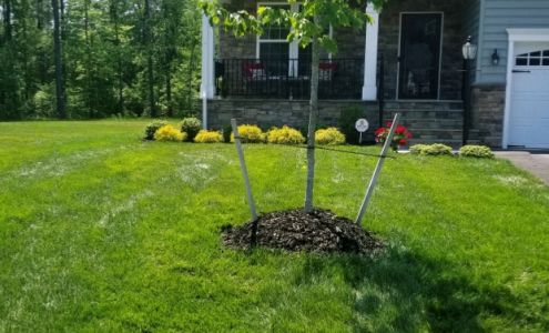 Dream Holloway Lawn Care Services