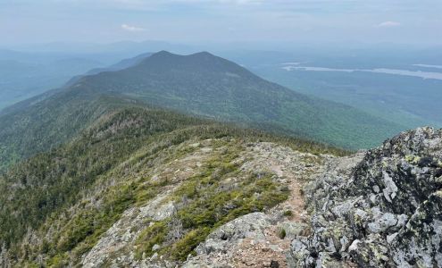 Bigelow Preserve Stratton