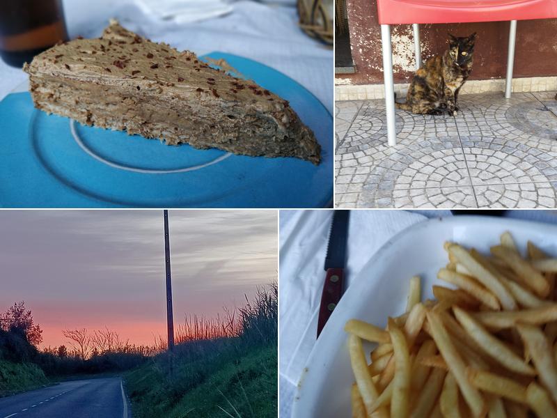 Salgueiro do Lavrador