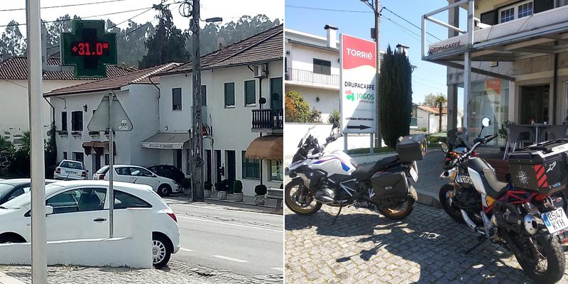 Maria F L Barbosa Campelo