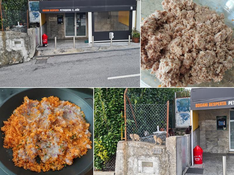 Petisqueira S. João