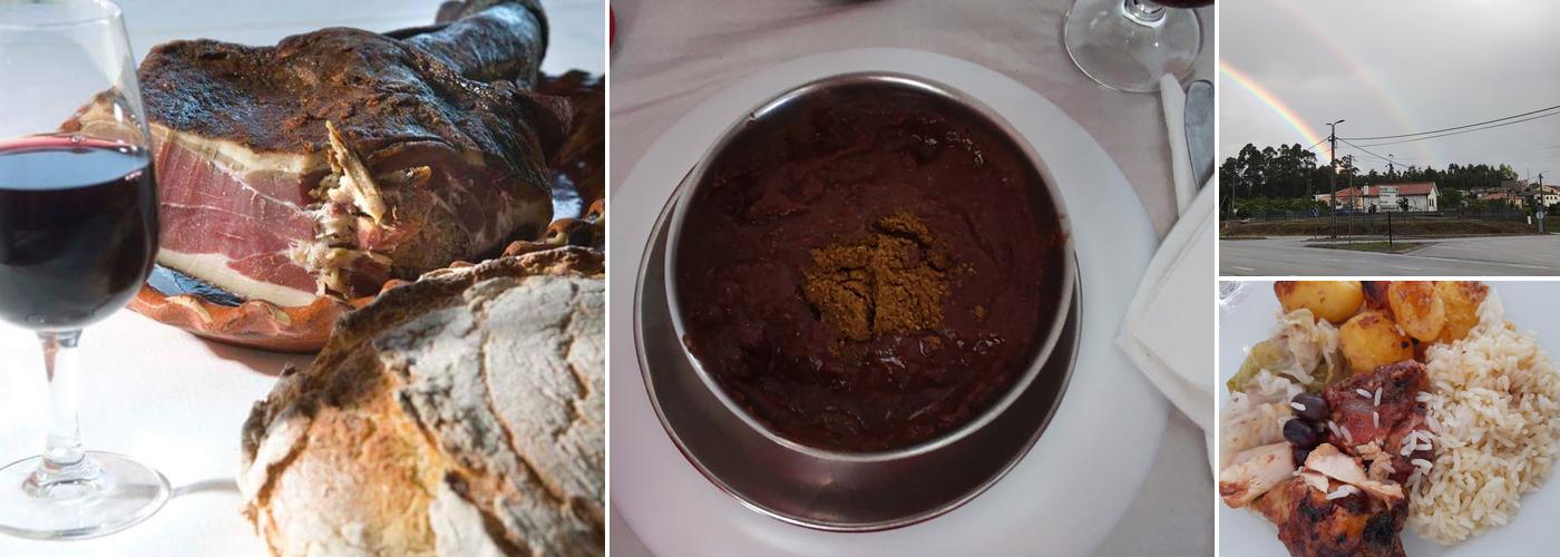 Maria De Fatima Lourenco Da Mota