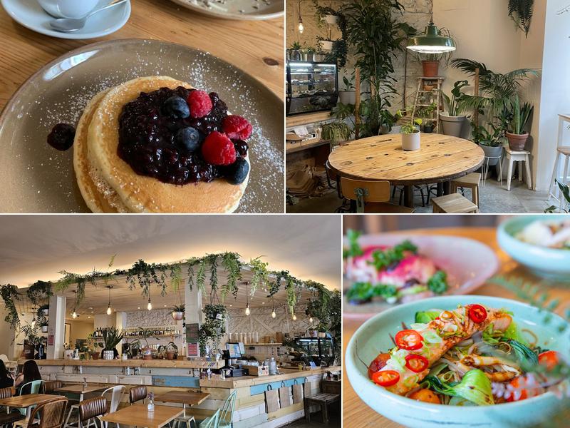 Fauna & Flora - Santos (Fauna & Flora)