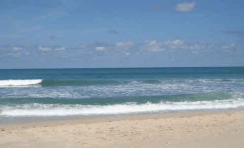 Dr. Nicole Mitchell , DMD