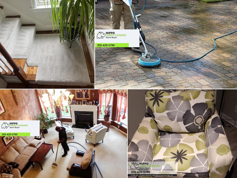 Hippo Carpet Cleaning Miami Beach