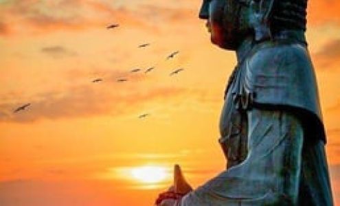 Victim Witness Services for Coconino County