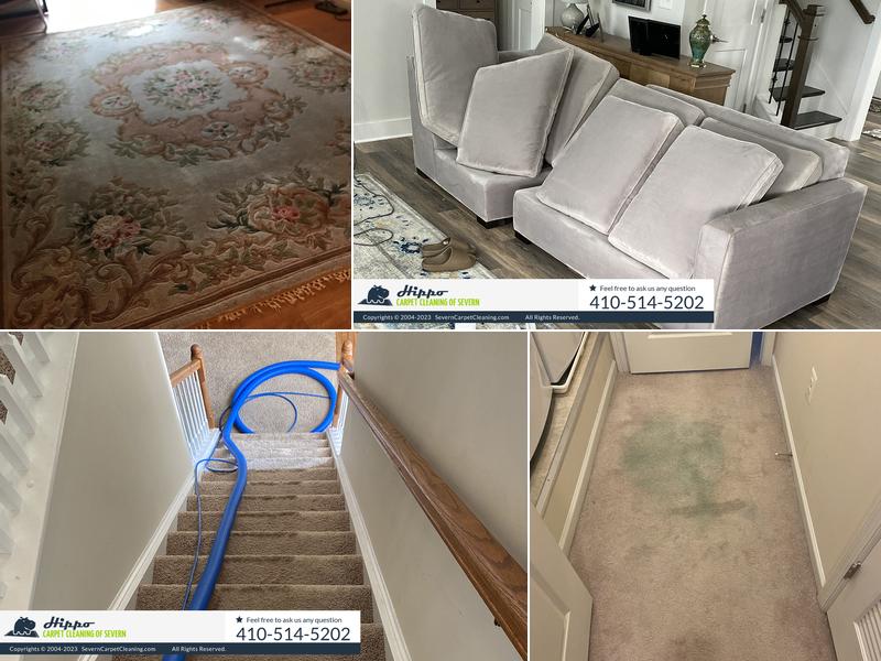 Hippo Carpet Cleaning of Severn