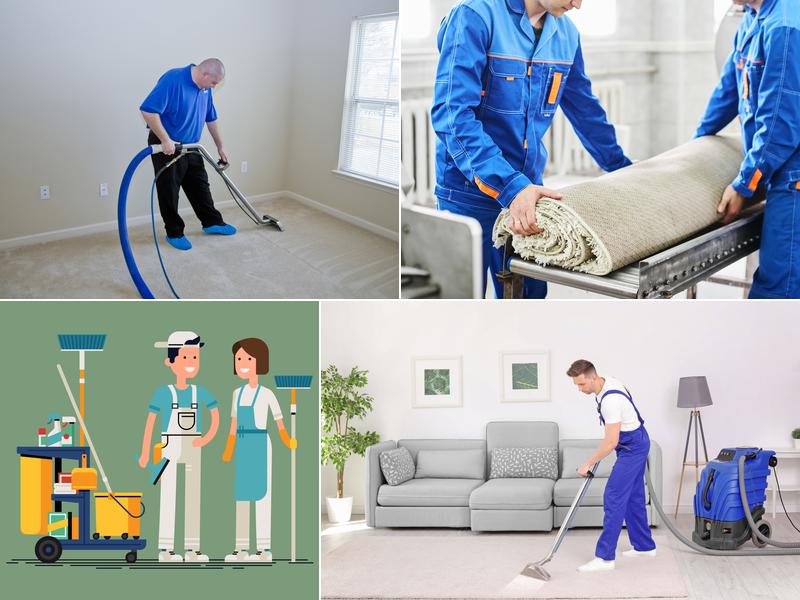 Best Carpet Cleaning Services