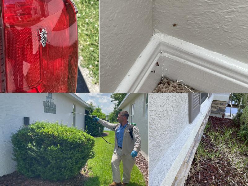 South Country Pest Control