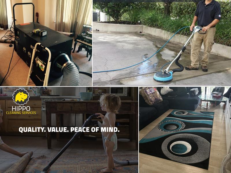 Hippo Carpet Cleaning Ellicott City