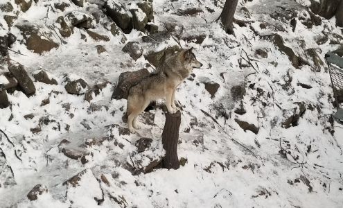 Omega Park Montebello